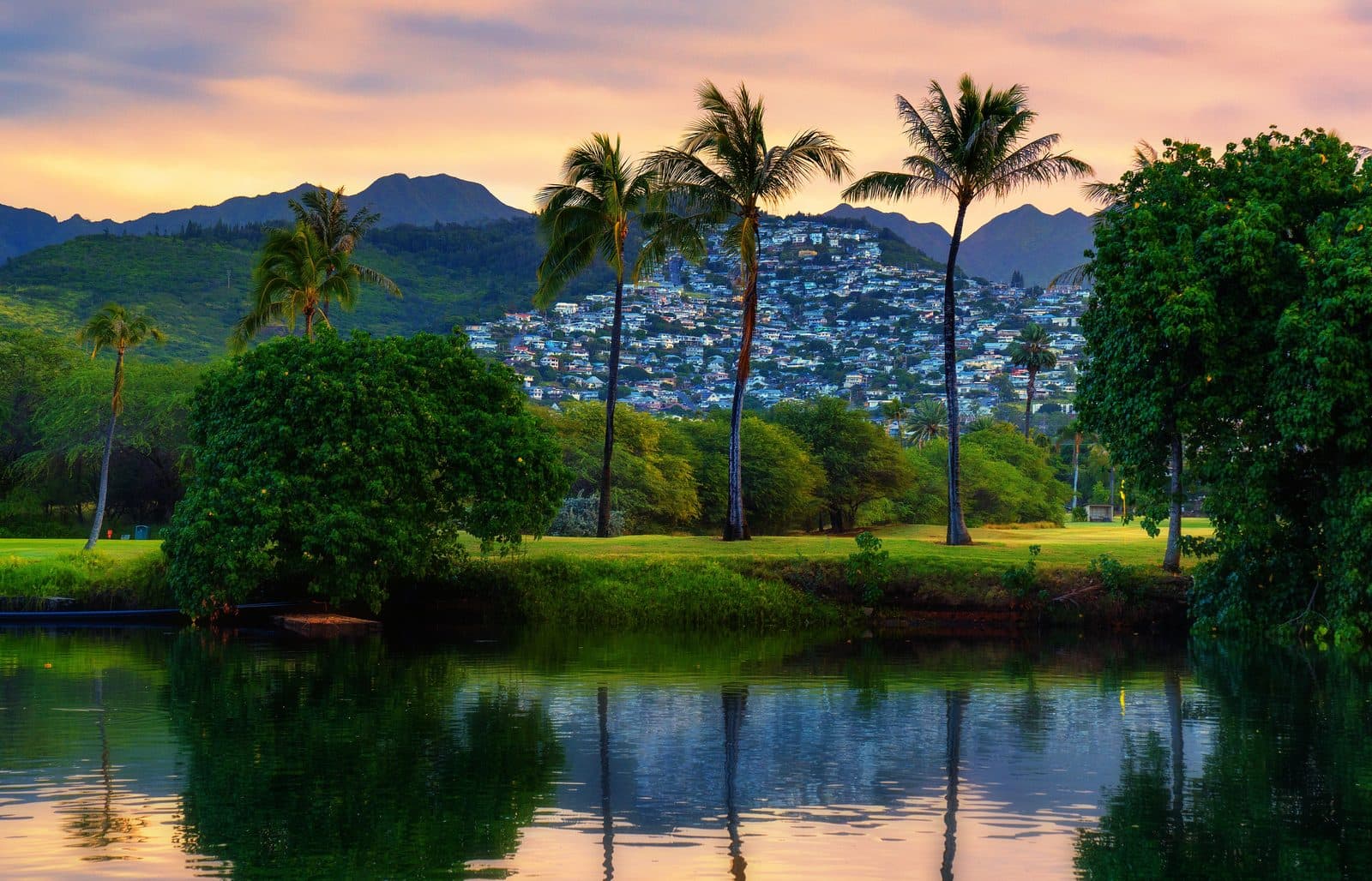 Palm trees and the Koʻolau mountains beyond the Ala Wai Golf Course, Honolulu