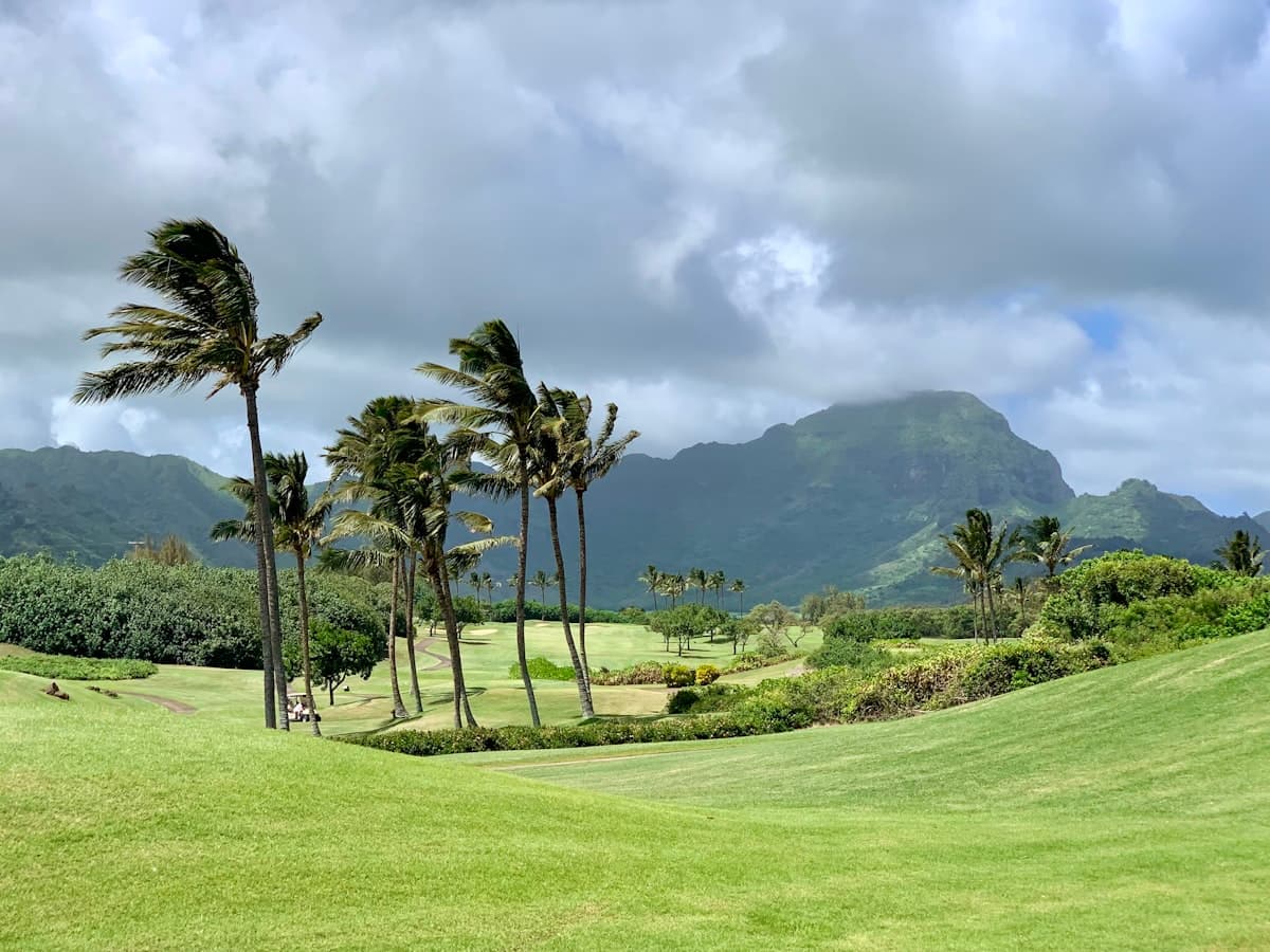 Golf course with palm trees and mountains on Oʻahu