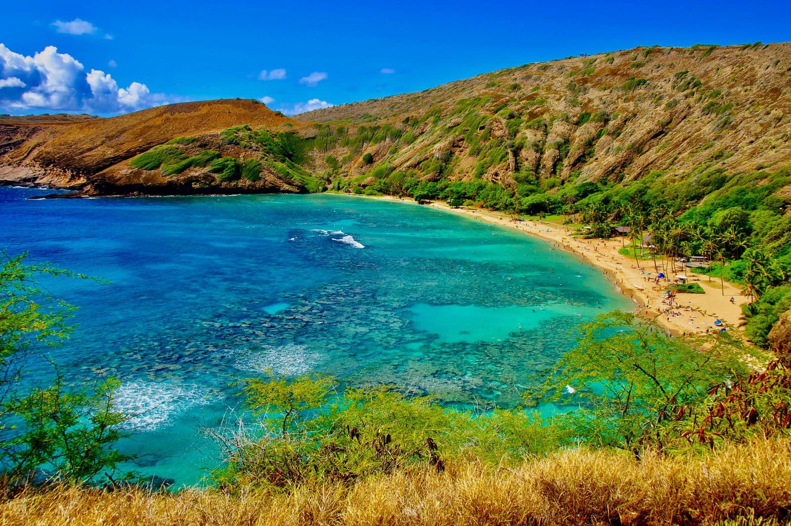 Hanauma Bay